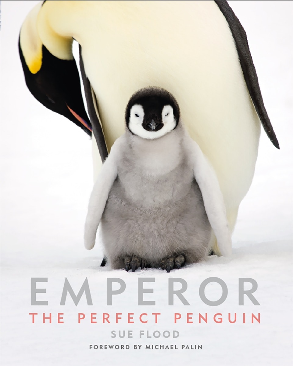 Emperor: The Perfect Penguin